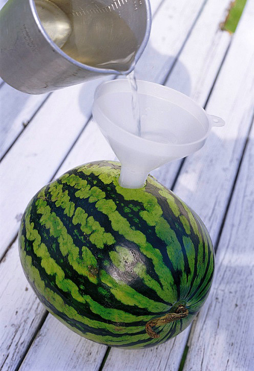 wassermelone-mit-lemonwodka