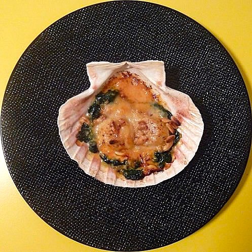 jakobsmuschel-gratiniert