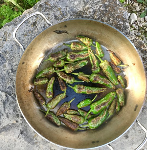 Pimientos Padron